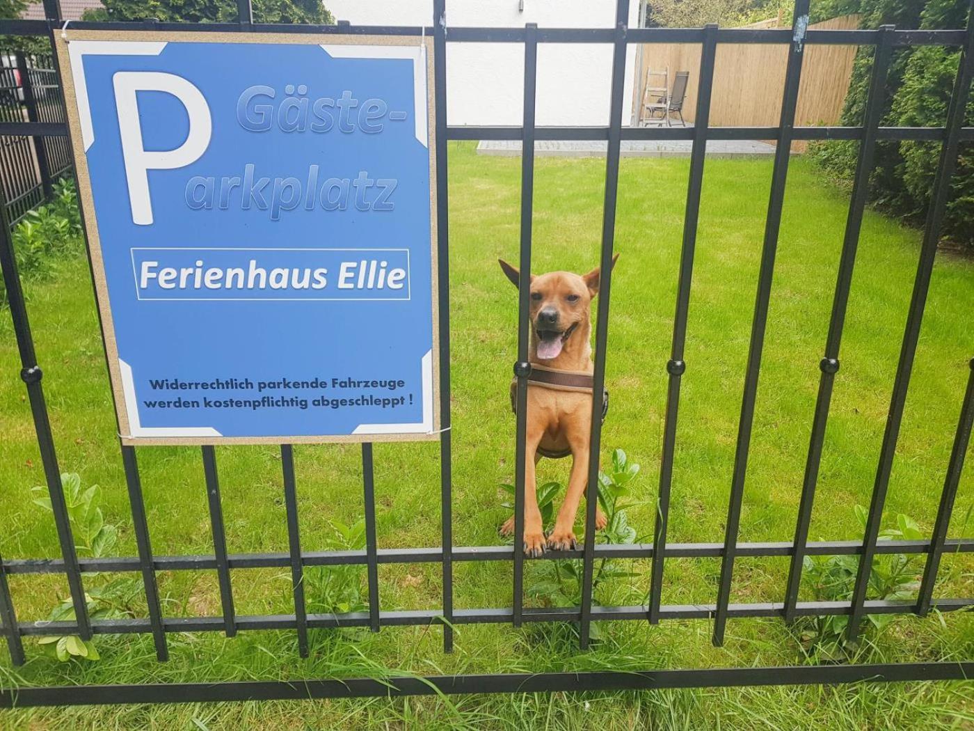 Ferienhaus Ellie Haffkrug Esterno foto